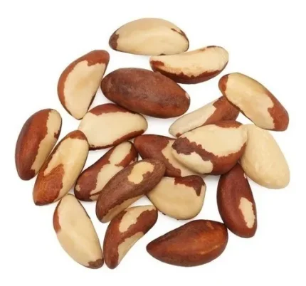 Castaña